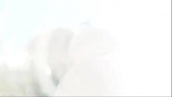 Ничего кроме секса комедия