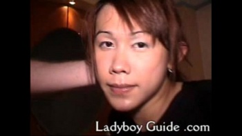 Трансы были только рады