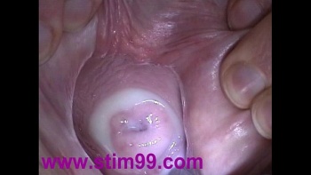 Женские писи в сперме